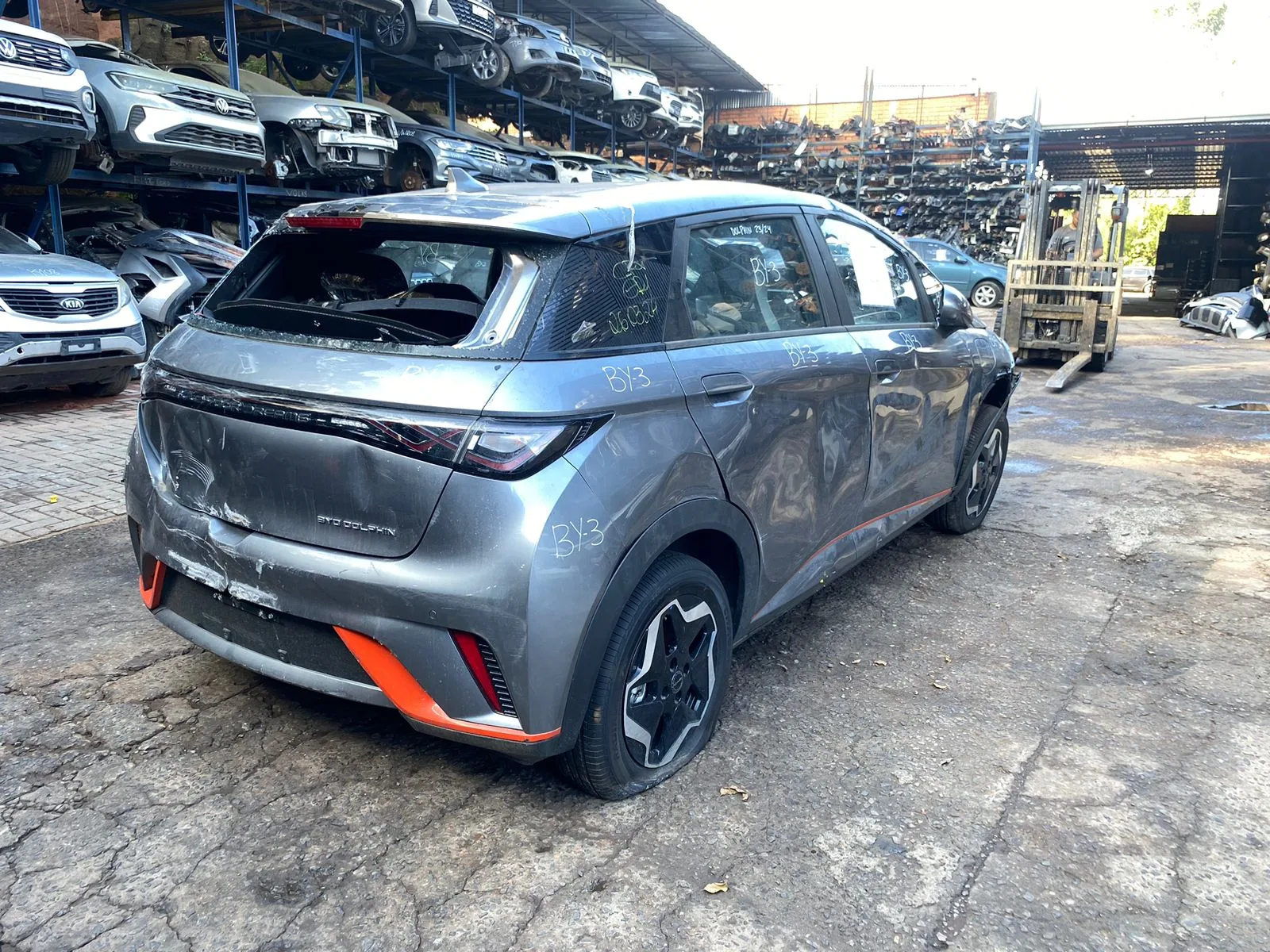 BYD DOLPHIN GS 2024