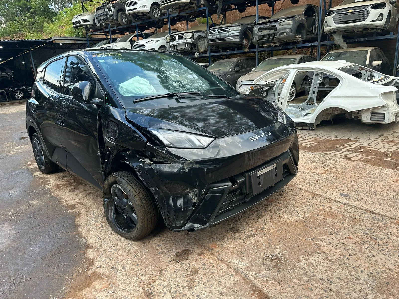 BYD DOLPHIN MINI GS EV 24.25