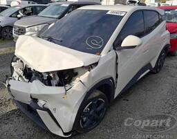 BYD DOLPHIN MINI 5 2025