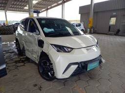 BYD Dolphin Mini 2025