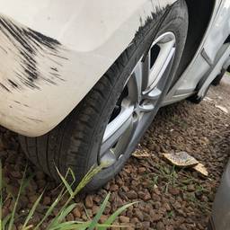 FOX HIGHLINE I MOTION 1.6 FLEX 16V 5P