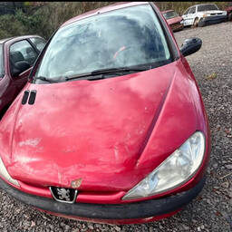 Peugeot Peugeot 206 2001 1.0 16v Selection 3p 2001