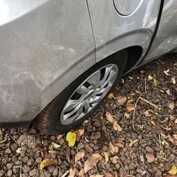 ARGO DRIVE 1.0 6V FLEX