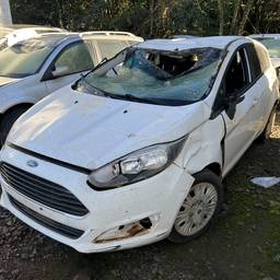 Ford Ford Fiesta 2015 1.5 Se Flex 5p 2015