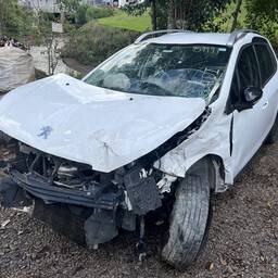 Peugeot 206 2008 1.6 16v Allure Flex 5p