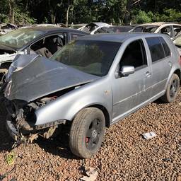 Golf 1.6Mi/ 1.6Mi Gener./Black & Silver