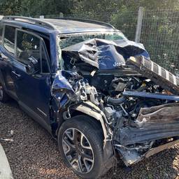 Jeep Jeep Renegade 2019 1.8 Sport Flex Aut. 5p 2019