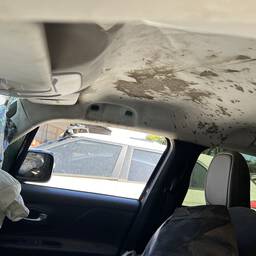 JEEP RENEGADE 2020 1.8 LONGITUDE FLEX AUT. 5P