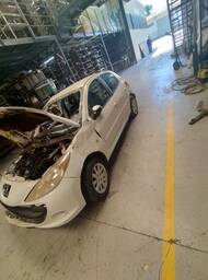 Peugeot Peugeot 207 Passion 2010 1.6 16v Xs Flex 4p 2010