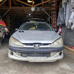 Peugeot Peugeot 206 SW 2007 1.4 Presence Flex 5p 2007