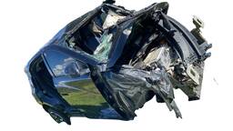 BYD Dolphin Mini 2025